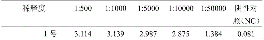 HPV6L1 protein-resisting antibody, preparation method therefor and application thereof