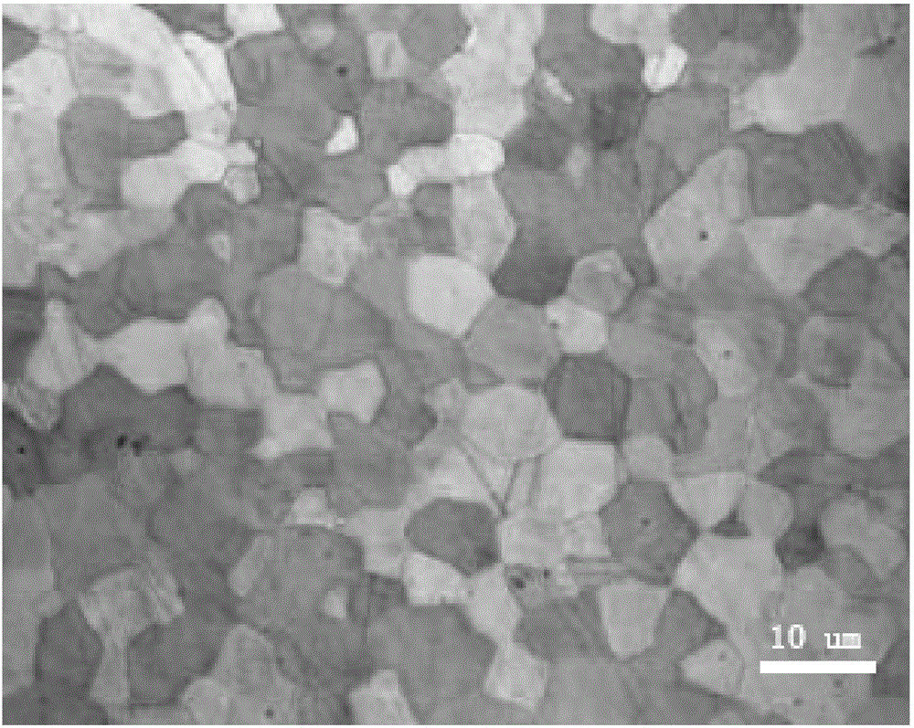 Single-phase multi-element rare earth magnesium alloy biodegradable material and preparation method thereof