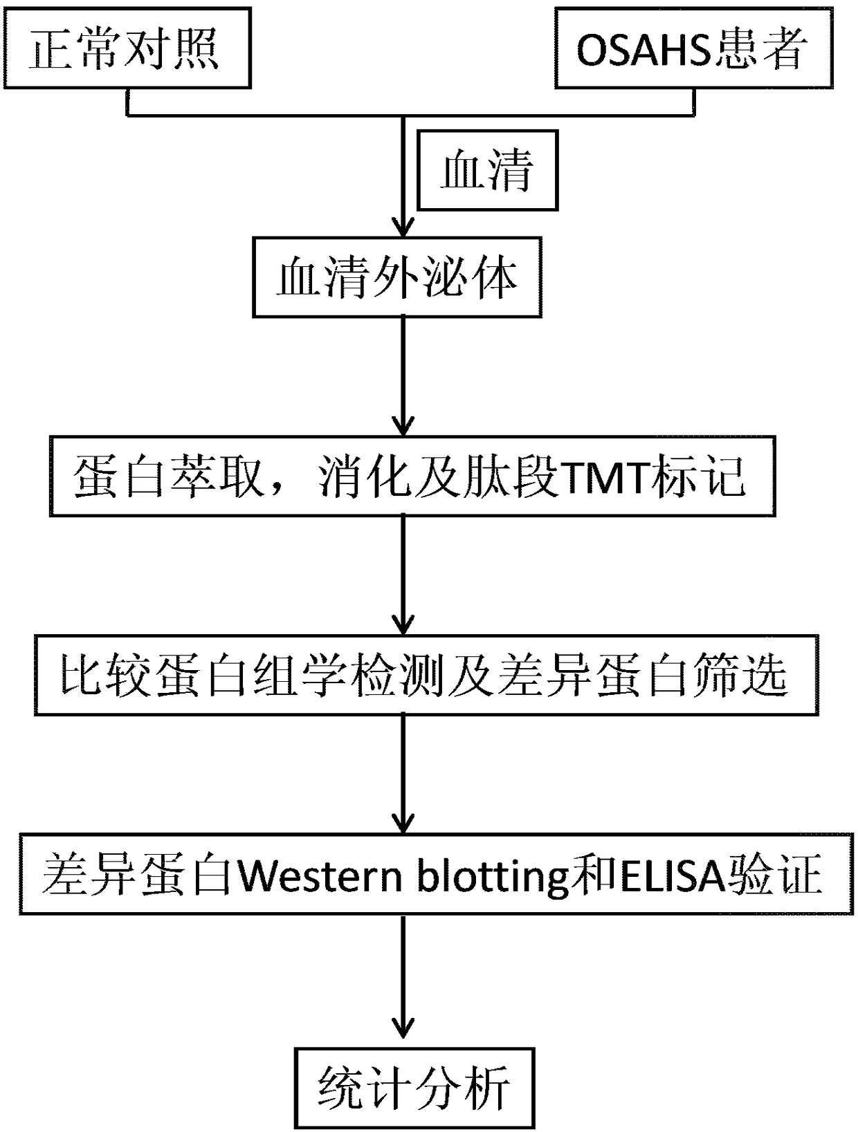 Serum exosome protein marker for obstructive sleep apnea-hypopnea syndrome and application thereof