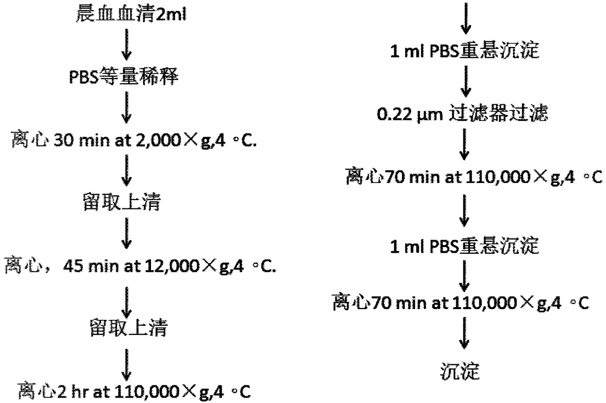 Serum exosome protein marker for obstructive sleep apnea-hypopnea syndrome and application thereof