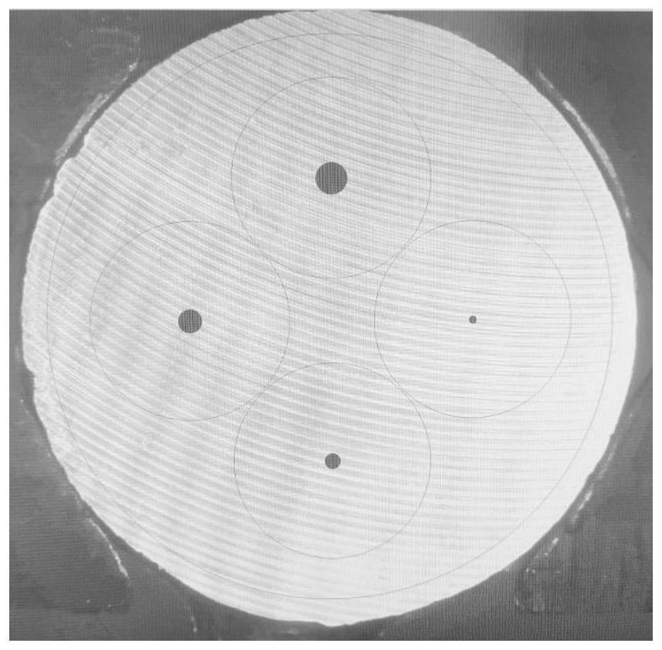 Online automatic detection method for nitrogen content in steel