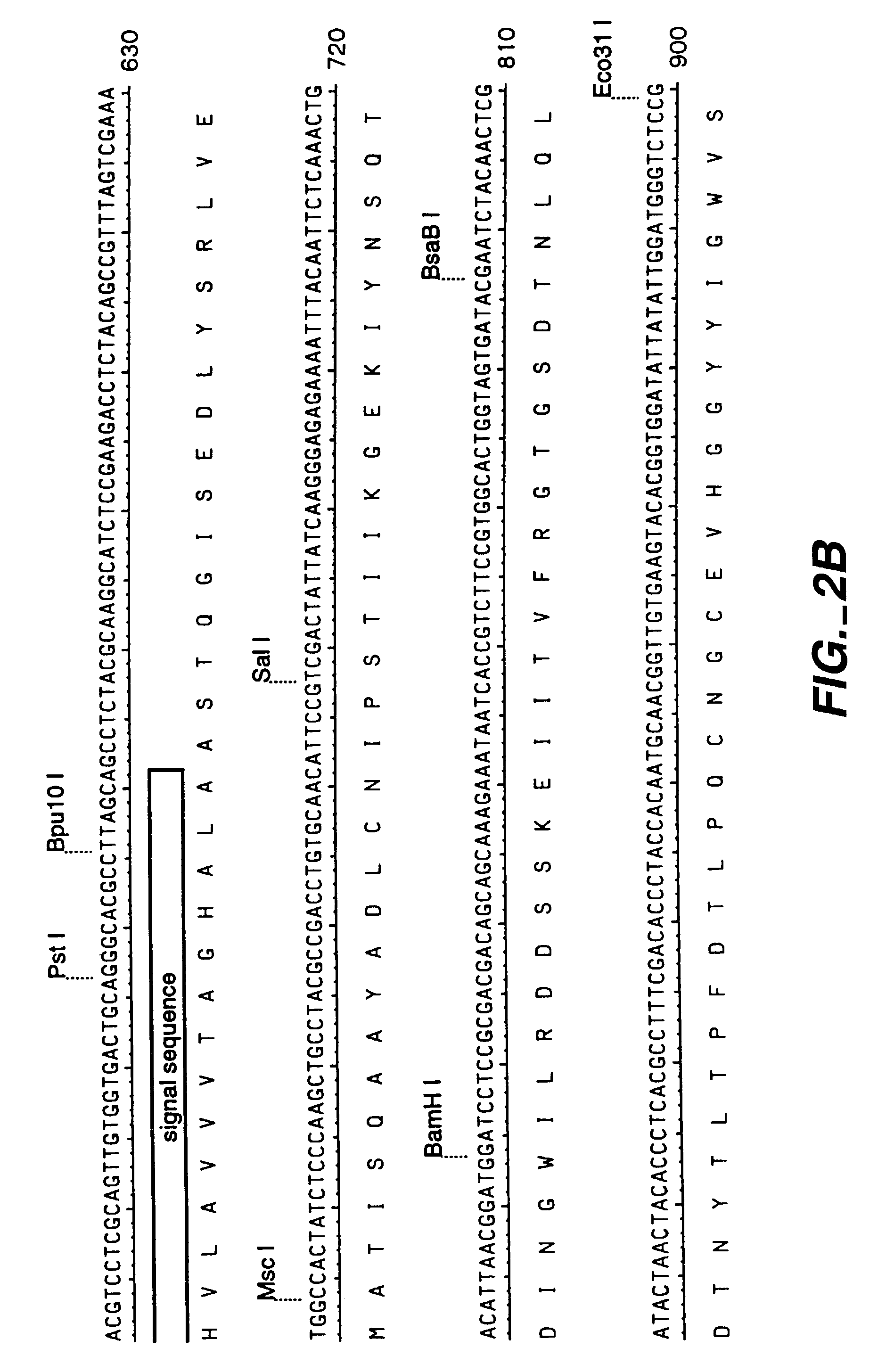 Manipulation of the phenolic acid content and digestibility of plant cell walls by targeted expression of genes encoding cell wall degrading enzymes