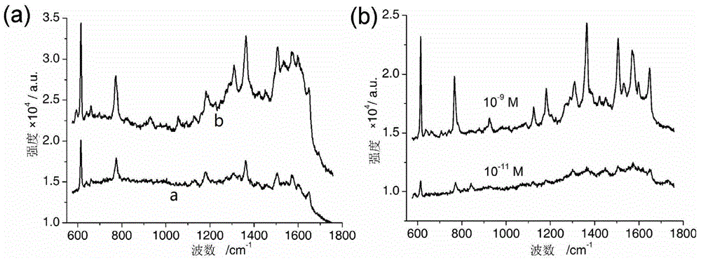 Sea urchin shaped nano-hemisphere array as well as preparation method and application thereof