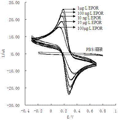 Erythropoietin receptor modified electrode, preparation method and applications thereof