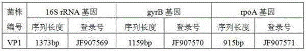 Microcapsule feed additive resisting to litopenaeus vannamei pathogenic vice hemolysis vibrio