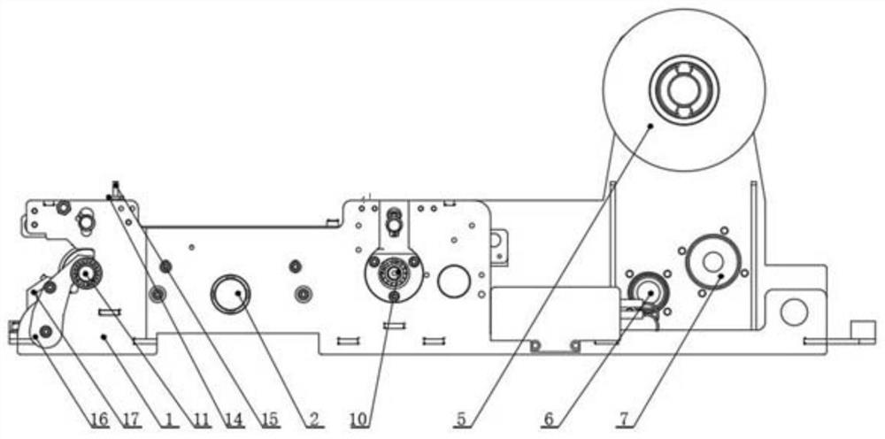 Marked coil stock feeding device