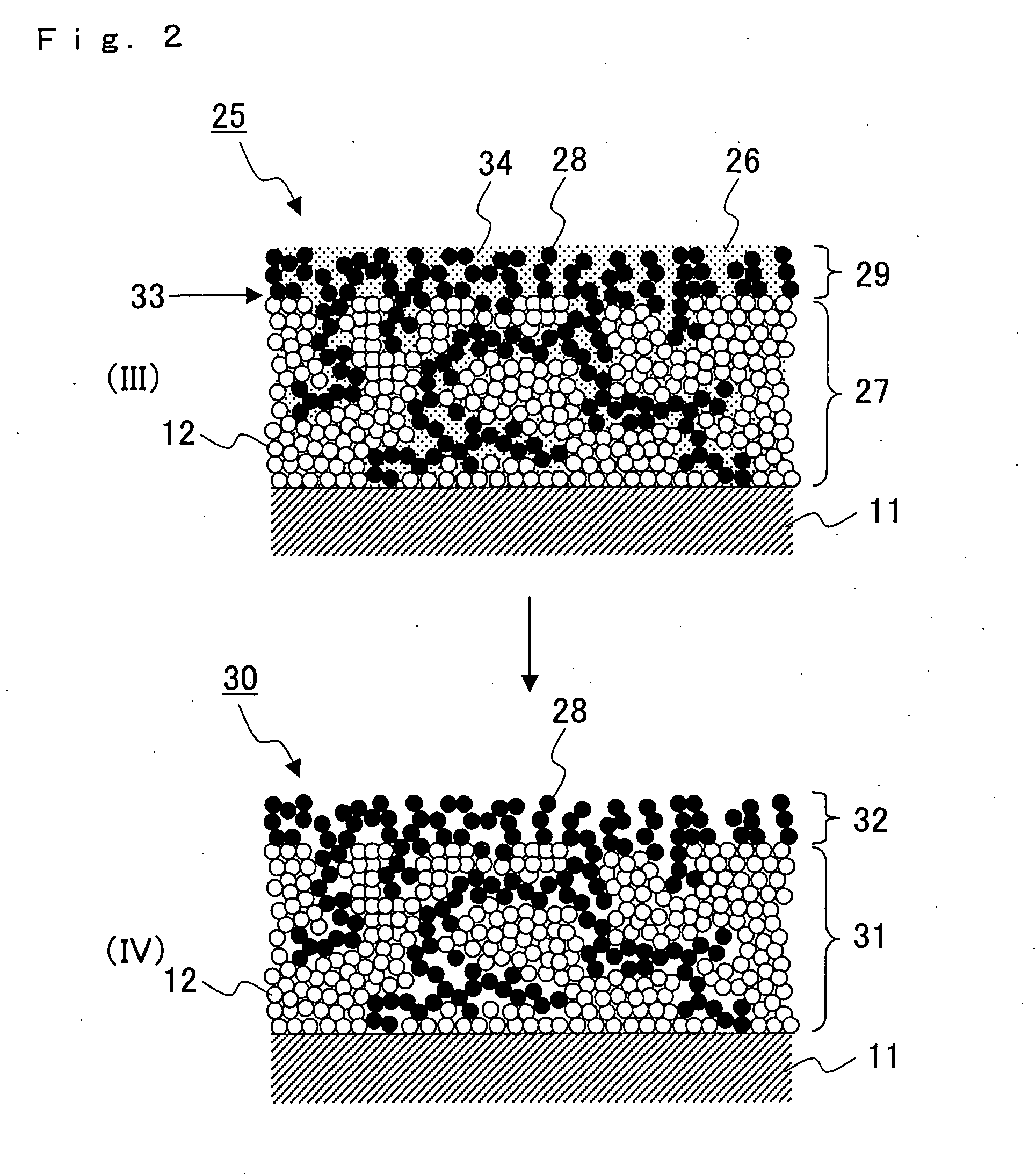 Solid Oxide Type Fuel Battery Cell and Process for Producing the Same