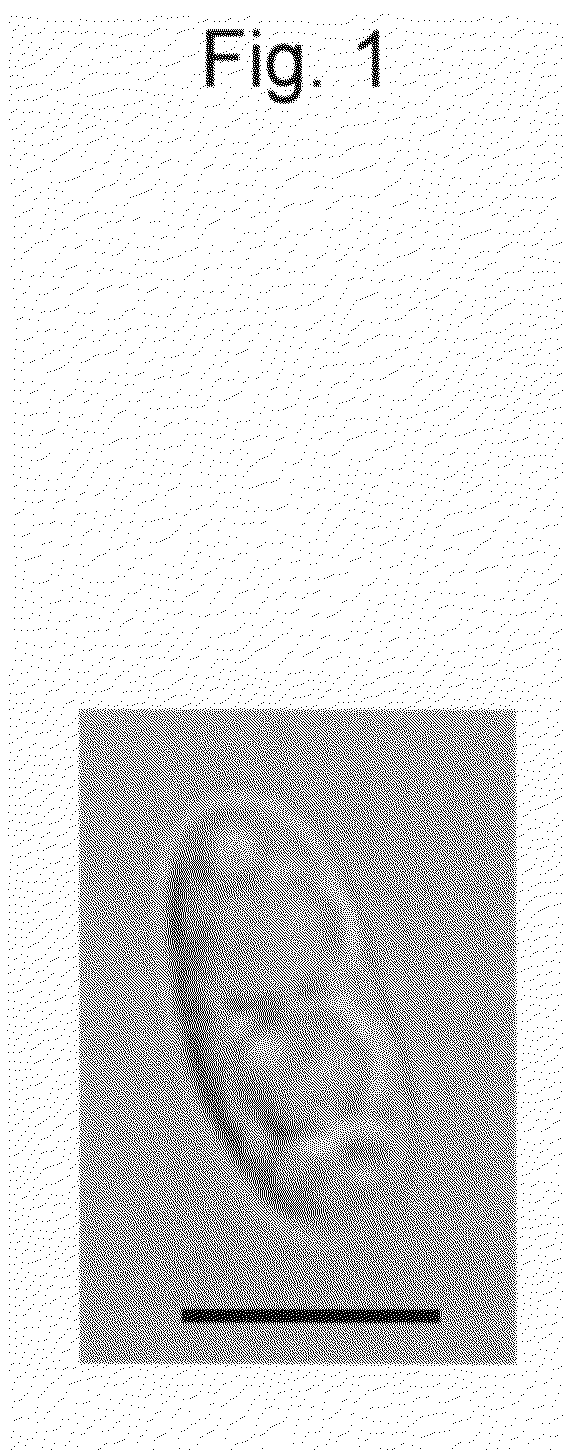 Novel Microalga and Process for Producing Hydrocarbon