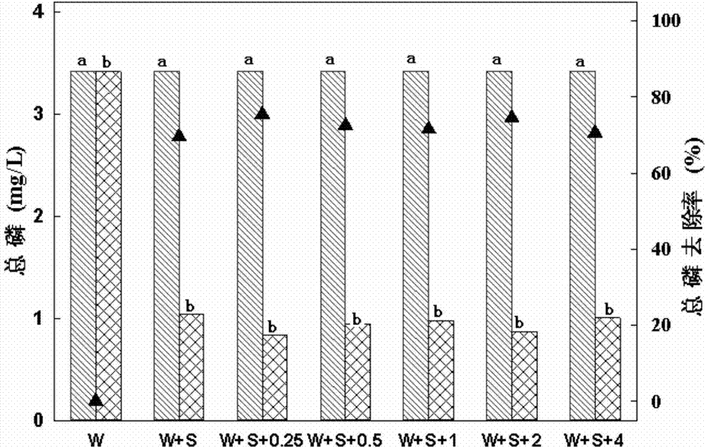 Preparation method of compound microbial inoculum for degrading domestic sewage