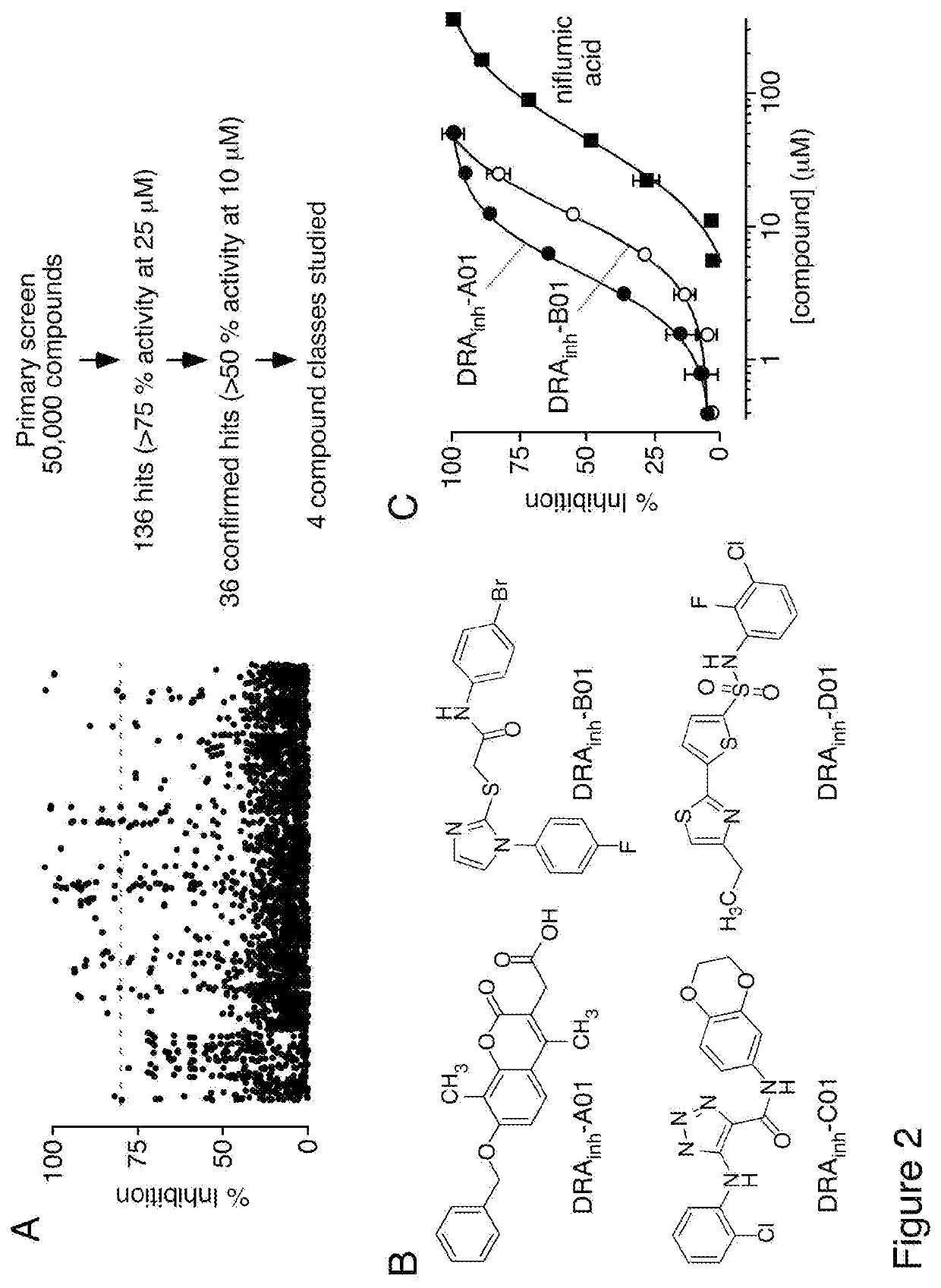 Slc26a3 inhibitors and use thereof