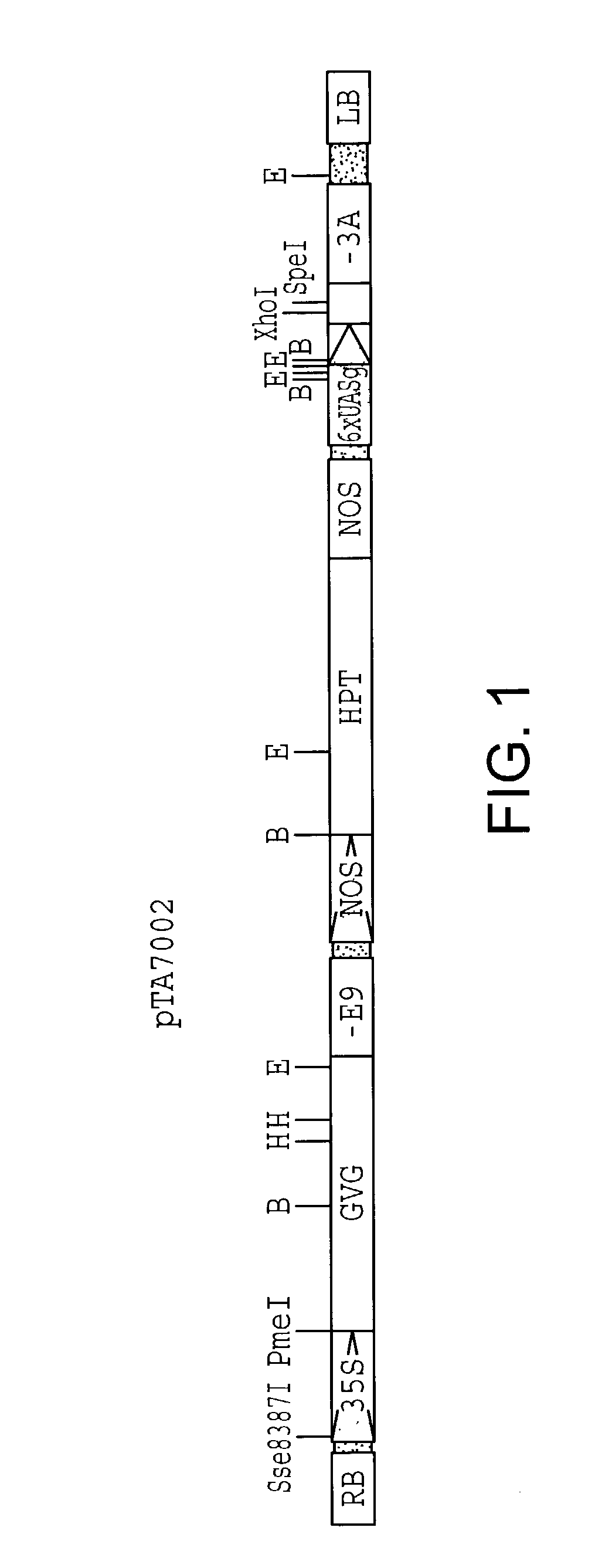 Chemical inducible promoters used to obtain transgenic plants with a silent marker