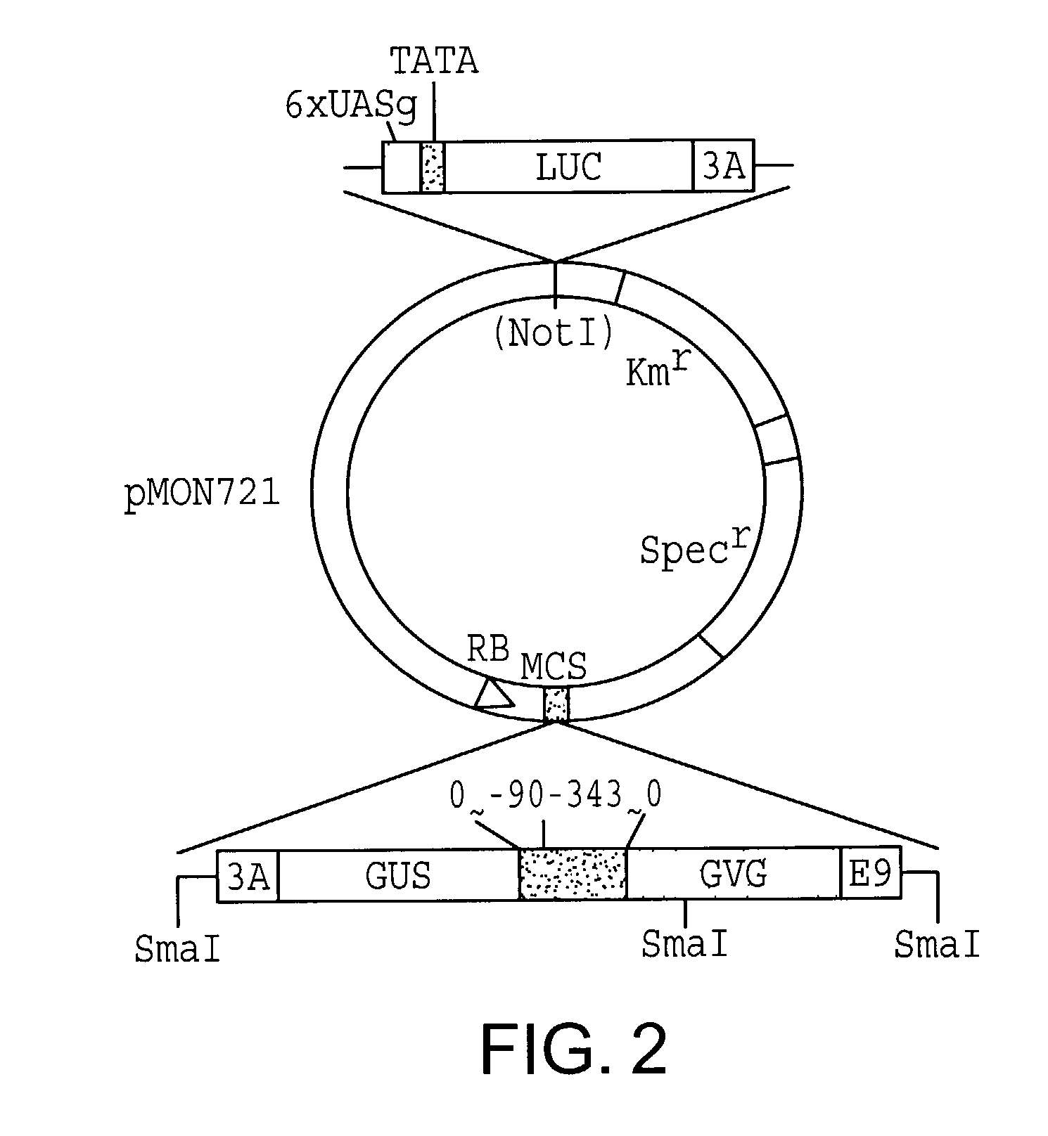 Chemical inducible promoters used to obtain transgenic plants with a silent marker