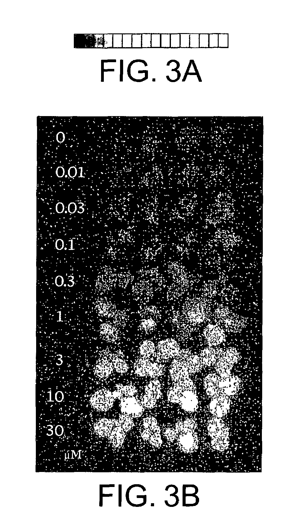 Chemical inducible promoters used to obtain transgenic plants with a silent marker