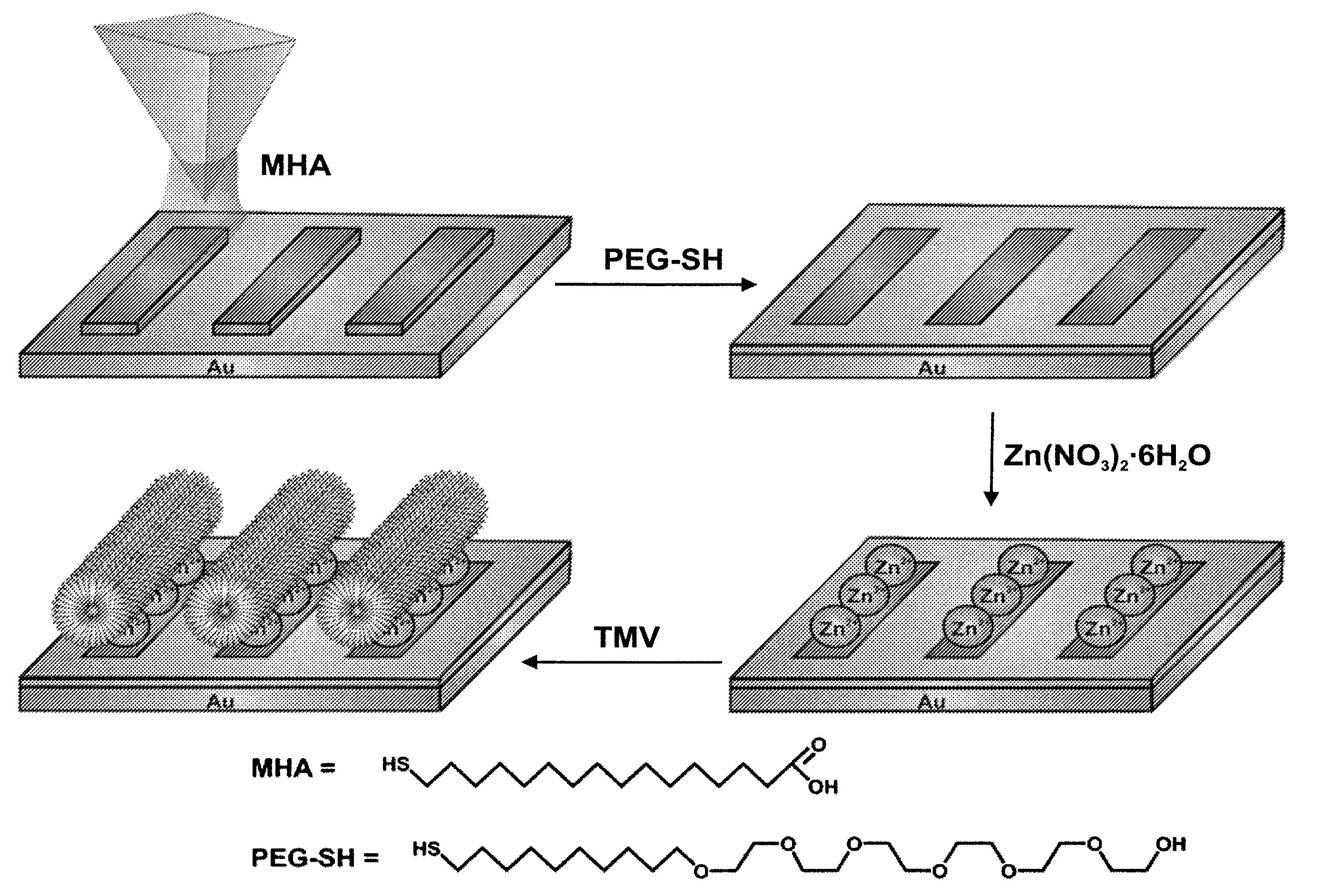 Nanoarrays of single virus particles, methods and instrumentation for the fabrication and use thereof