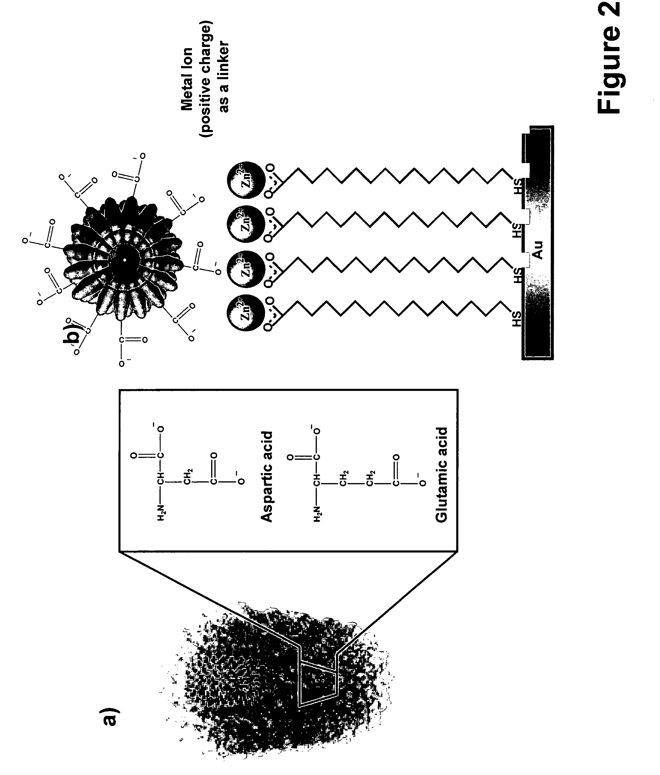 Nanoarrays of single virus particles, methods and instrumentation for the fabrication and use thereof