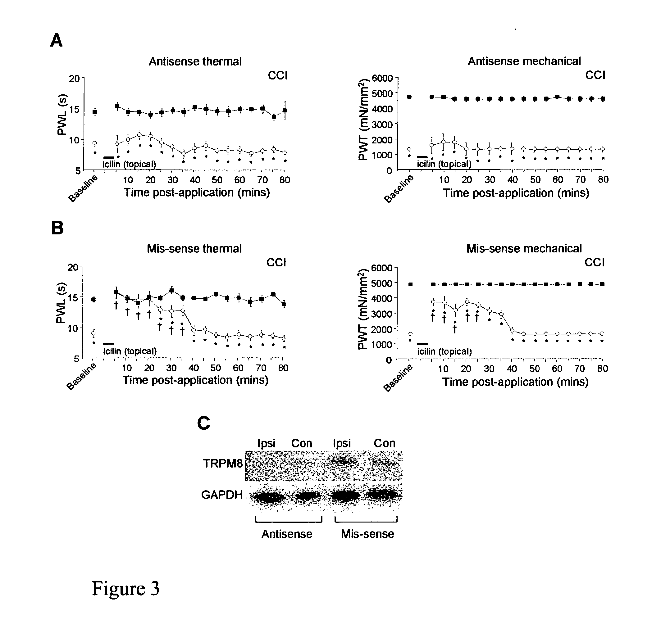 Induction of analgesia in neuropathic pain