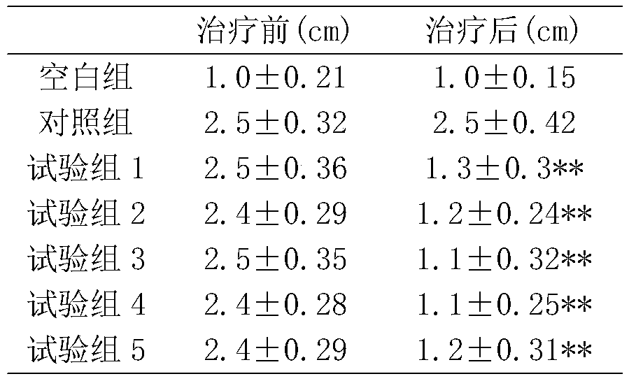 External plant extract for treating gouty arthritis, preparation method and application thereof