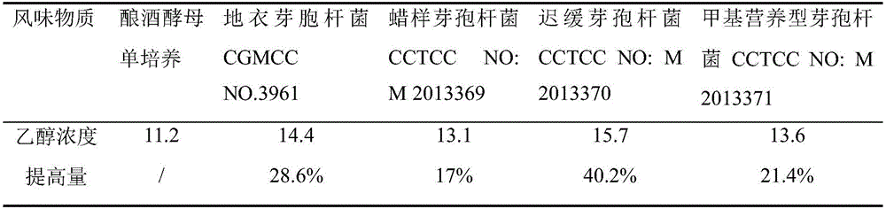 Bacillus capable of promoting production of alcohol and flavor substances from saccharomyces cerevisiae and application thereof