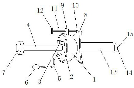 A kind of artificial insemination device with child tube