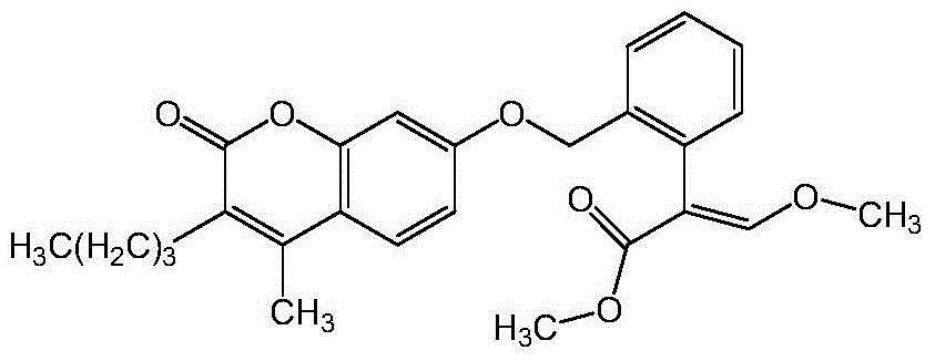 Bactericide composition containing coumoxystrobin with synergistic effect