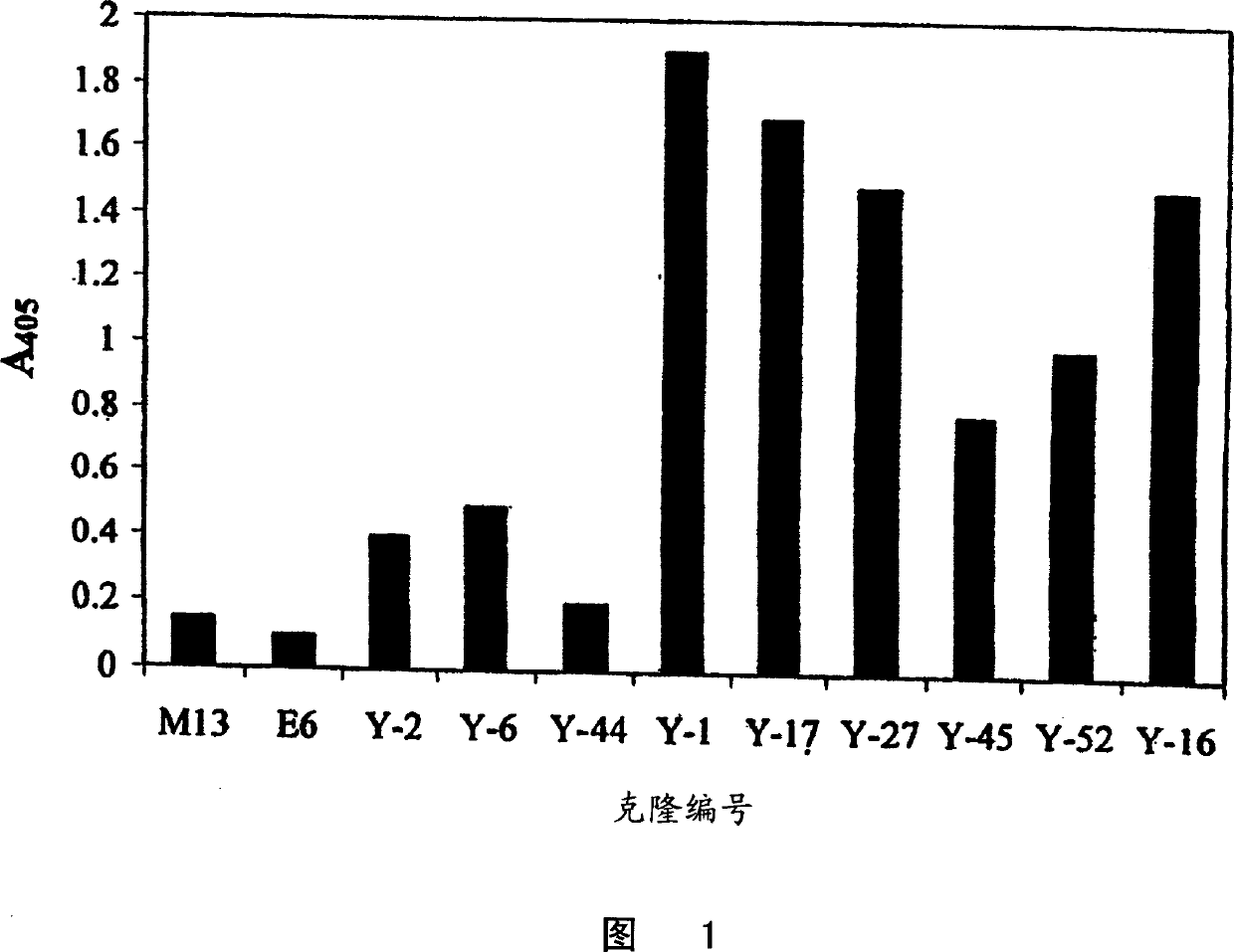 Specific human antibodies for selective cancer therapy