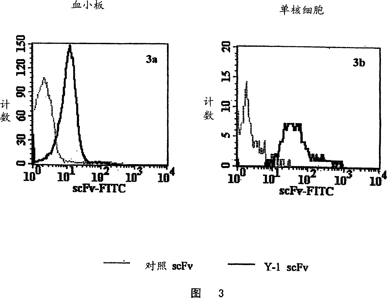 Specific human antibodies for selective cancer therapy