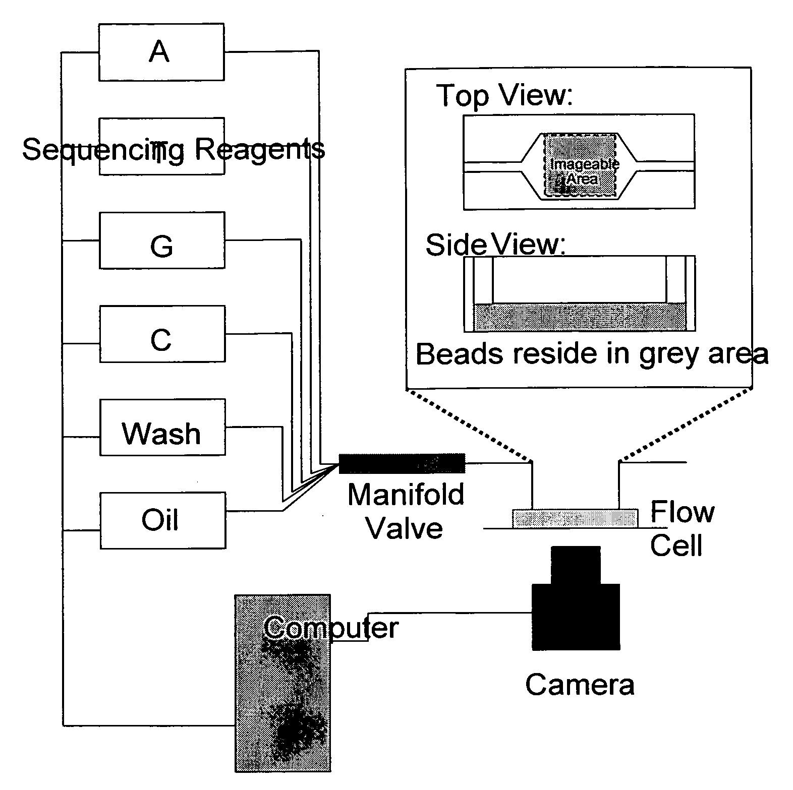 High throughput DNA sequencing method and apparatus