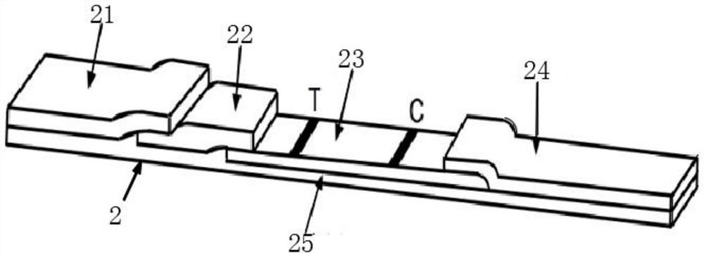 Novel coronavirus (COVID-19) antigen detection kit and detection method thereof