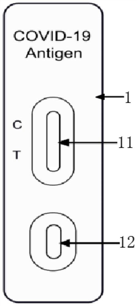 Novel coronavirus (COVID-19) antigen detection kit and detection method thereof