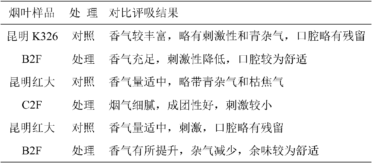 Method for improving quality of tobacco leaves by using blastococcus cavernae sp.