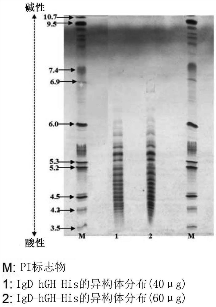 Fusion polypeptide comprising polypeptide region that can be o-glycosylated