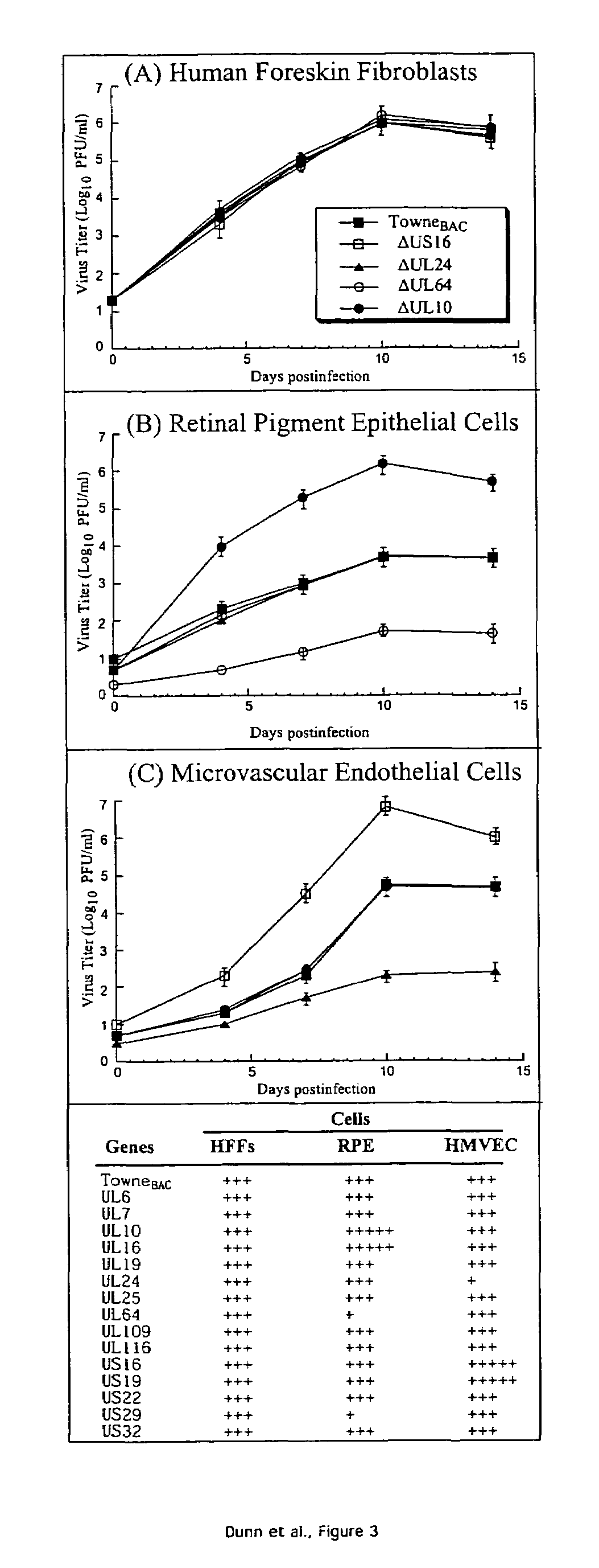 Cytomegalovirus gene function and methods for developing antivirals, anti-CMV vaccines, and CMV-based vectors