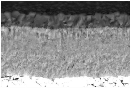 Coating coating on blade substrate and preparation method thereof