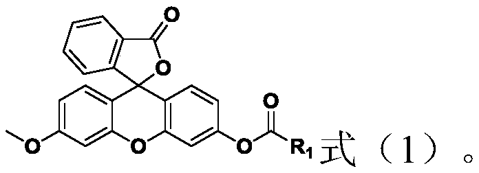 Methoxyfluorescein derivative and its preparation method, carboxypeptidase y detection method and detection kit