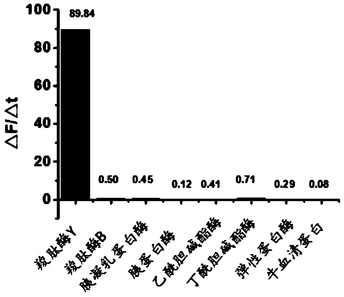 Methoxyfluorescein derivative and its preparation method, carboxypeptidase y detection method and detection kit