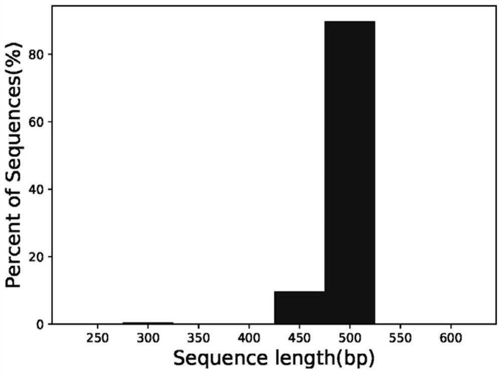 Application of enteric microorganism as marker of bronchial pulmonary dysplasia of premature infant