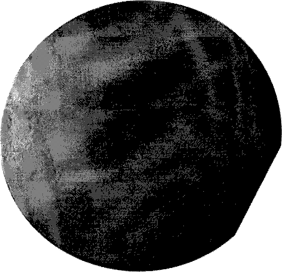 Silicon chip cleaning liquid and cleaning method thereof