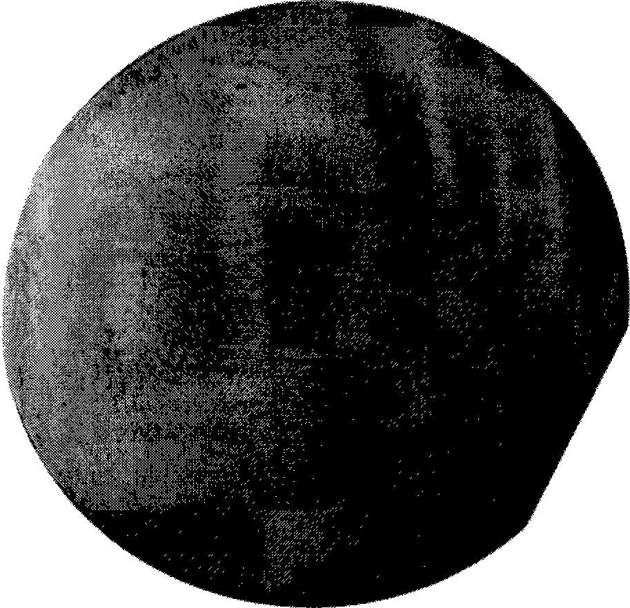 Silicon chip cleaning liquid and cleaning method thereof