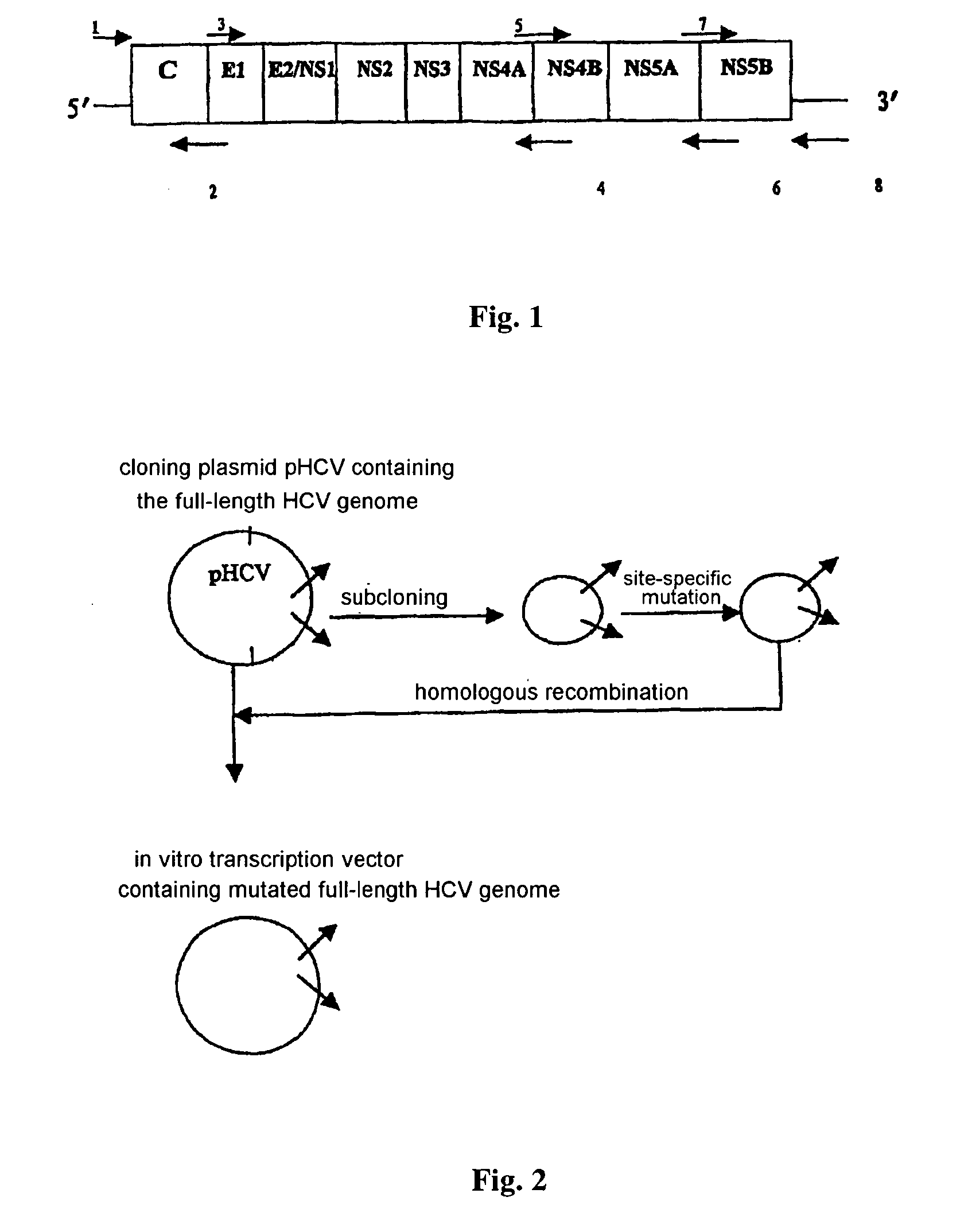 Intact hepatitis c virus and the method for culturing it in a vitro cell culture