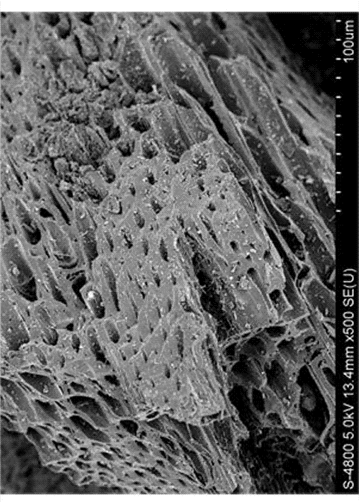 Charcoal-base immobilized lipase coated by nanogel modified by oleic acid molecule and preparation method of charcoal-base immobilized lipase