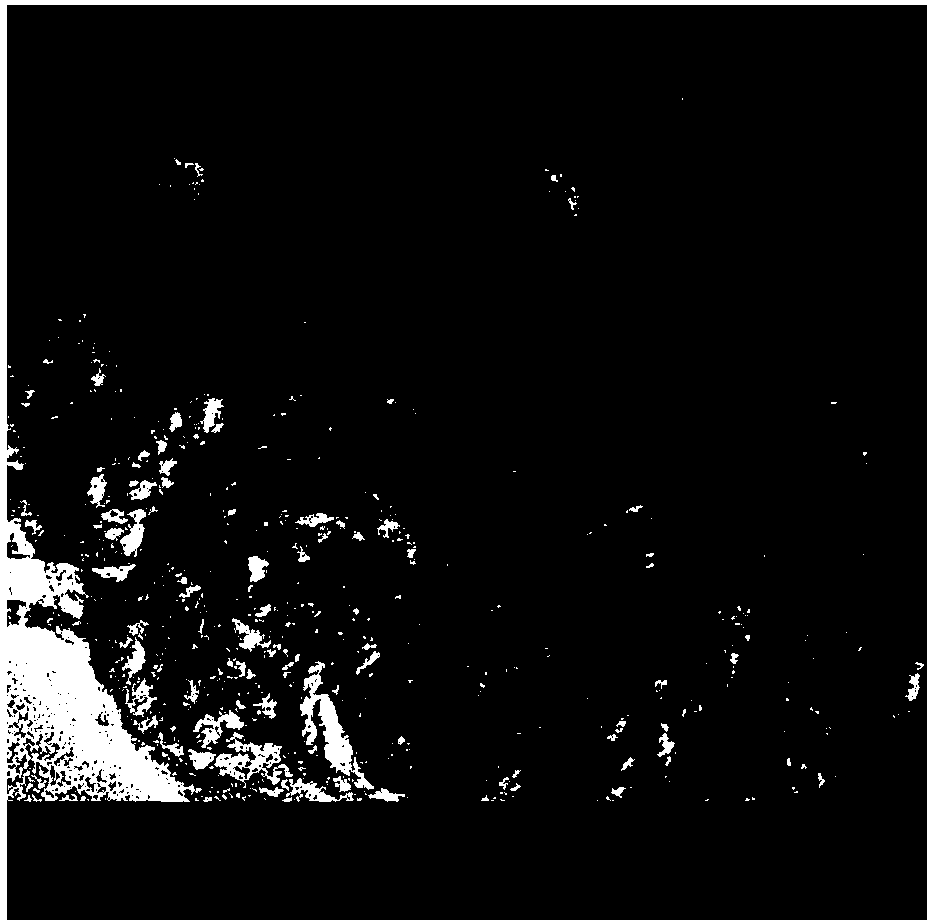 N-doped porous carbon coated Fe and Co bi-metal nanoparticle catalyst and preparation method thereof