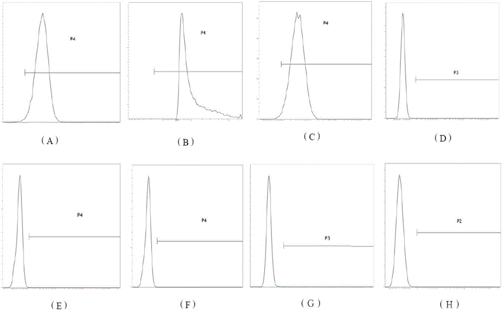 Method and kit for acquiring amniotic mesenchymal stem cells