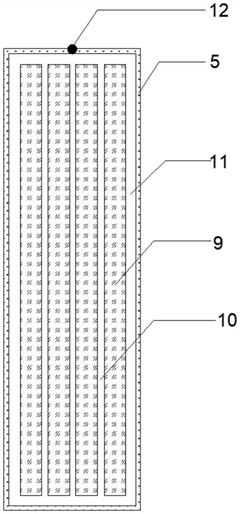 A kind of intensive culture system and culture method of Dermocystis spp. in ponds