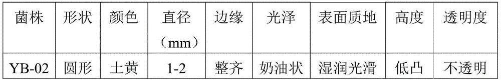 Brevibacillus laterosporu with function in quickly decomposing nitrite nitrogen and bacteriostasis function and application thereof