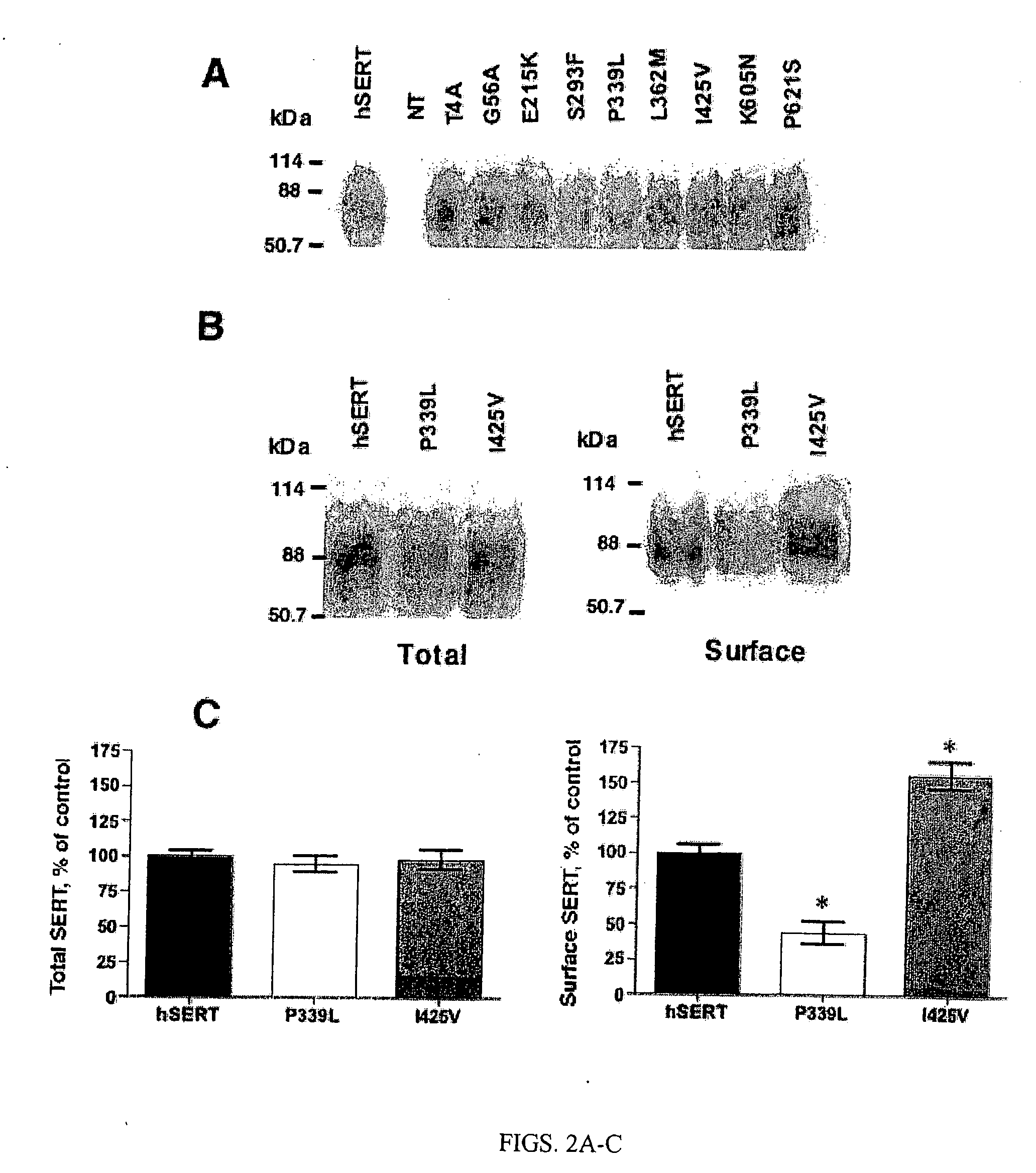 Genetic and pharmacological regulation of antidepressant-sensitive biogenic amine transporters through PKG/p38 map kinase