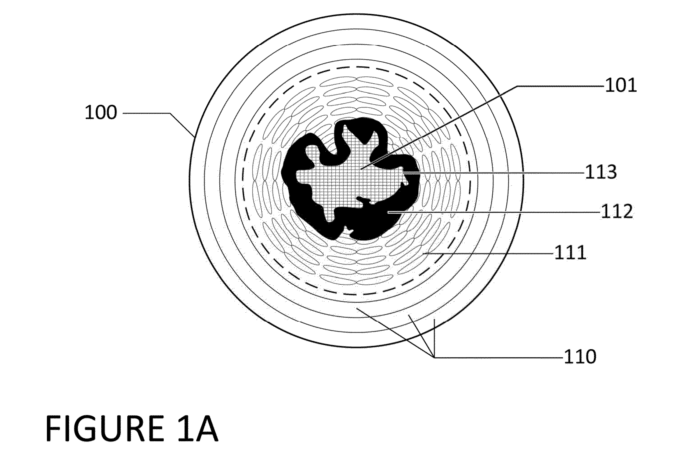 Compositions and methods relating to an occlusive polymer hydrogel