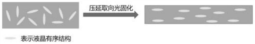 Intrinsic high-flexibility and high-thermal-conductivity liquid crystal elastomer material as well as preparation and application thereof