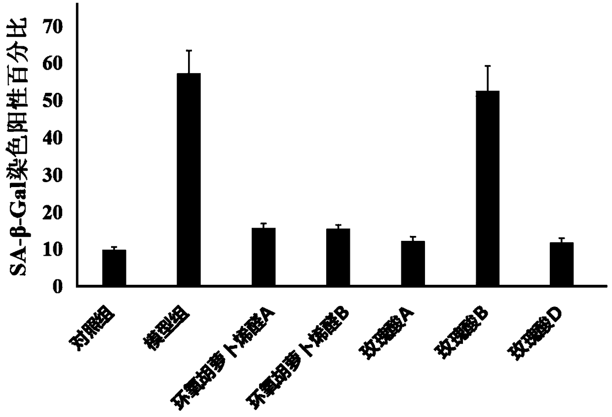 Application of roseolic acid D in anti-senescence of hematopoietic stem cells