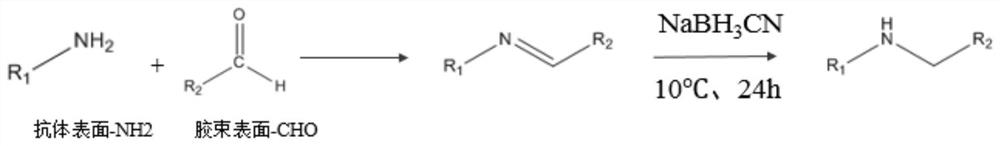 A targeted drug-loaded micelle suitable for loading hydrophobic chemicals