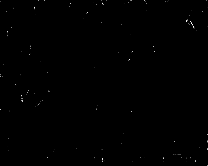 Prepn process of SiN ceramic with high heat conductivity